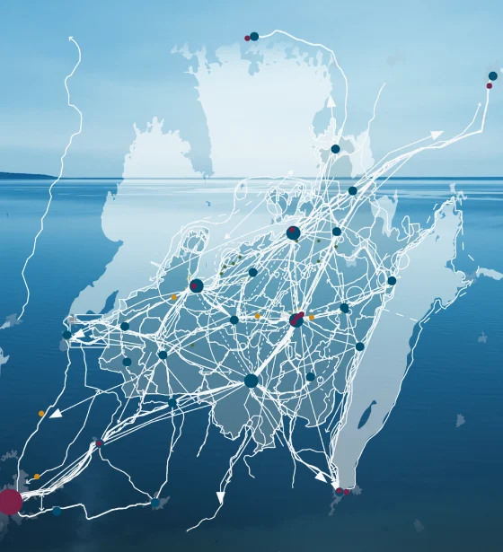 Illustrerad karta över Skaraborgs trafiknätverk